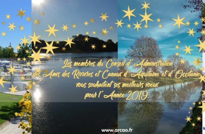 carte bonne année 2019